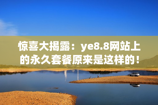 惊喜大揭露：ye8.8网站上的永久套餐原来是这样的！