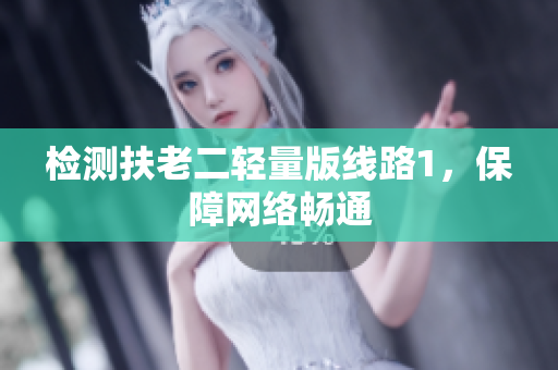 检测扶老二轻量版线路1，保障网络畅通