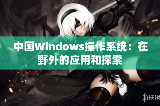 中国Windows操作系统：在野外的应用和探索