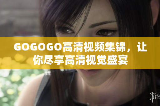 GOGOGO高清视频集锦，让你尽享高清视觉盛宴