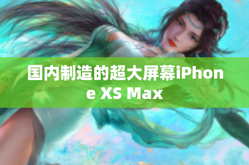 国内制造的超大屏幕iPhone XS Max