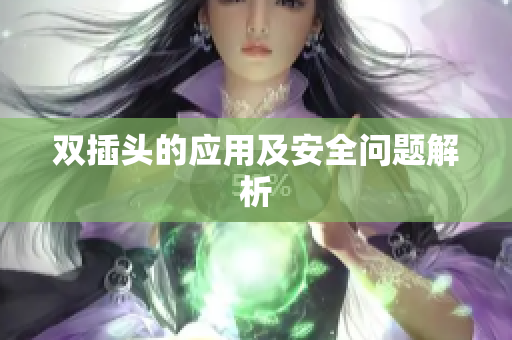 双插头的应用及安全问题解析