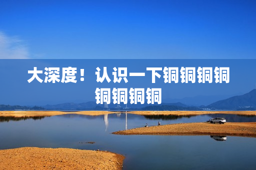 大深度！认识一下铜铜铜铜铜铜铜铜
