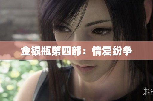 金银瓶第四部：情爱纷争