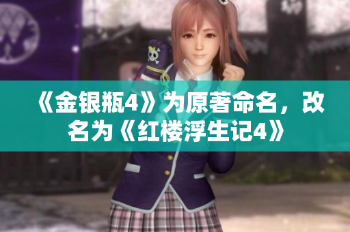 《金银瓶4》为原著命名，改名为《红楼浮生记4》