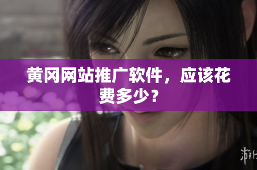 黄冈网站推广软件，应该花费多少？