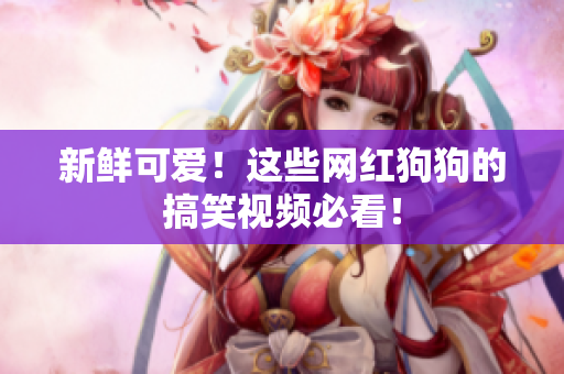 新鲜可爱！这些网红狗狗的搞笑视频必看！