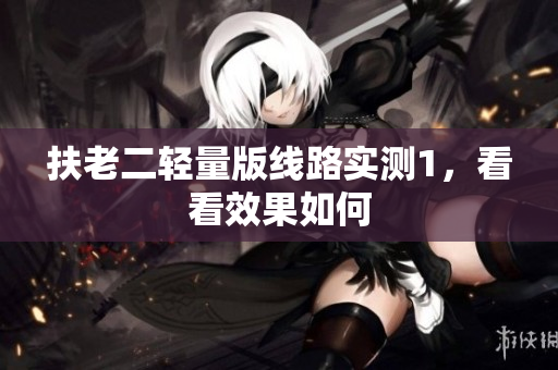 扶老二轻量版线路实测1，看看效果如何