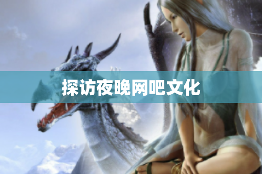 探访夜晚网吧文化