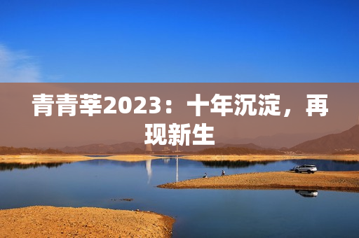 青青莘2023：十年沉淀，再现新生