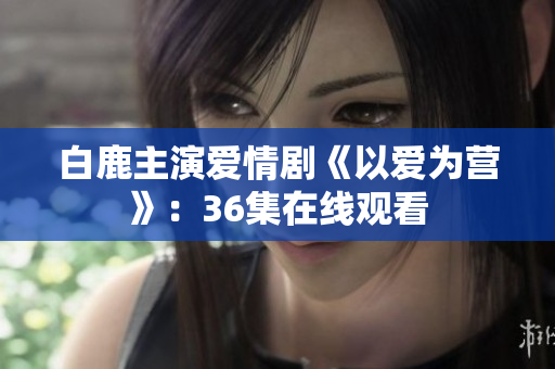 白鹿主演爱情剧《以爱为营》：36集在线观看