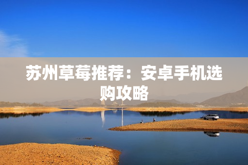 苏州草莓推荐：安卓手机选购攻略