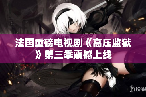 法国重磅电视剧《高压监狱》第三季震撼上线