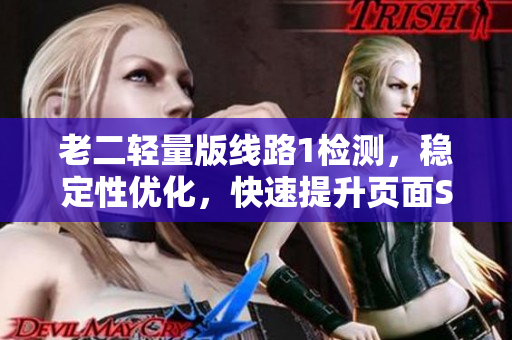 老二轻量版线路1检测，稳定性优化，快速提升页面SEO优化排名
