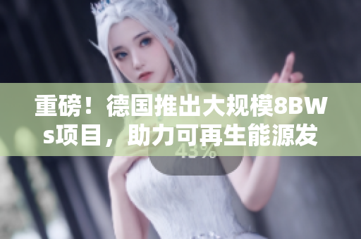 重磅！德国推出大规模8BWs项目，助力可再生能源发展