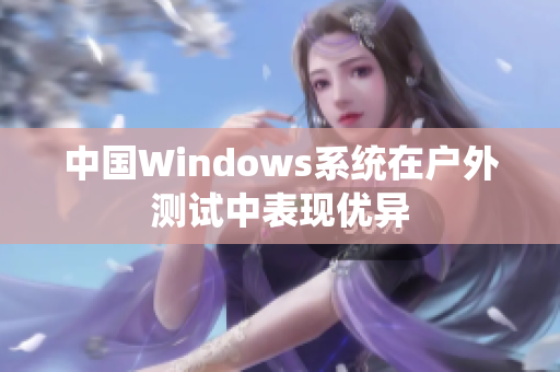 中国Windows系统在户外测试中表现优异