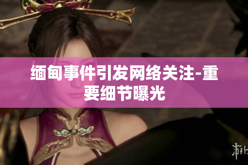 缅甸事件引发网络关注-重要细节曝光