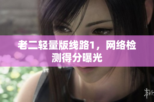 老二轻量版线路1，网络检测得分曝光