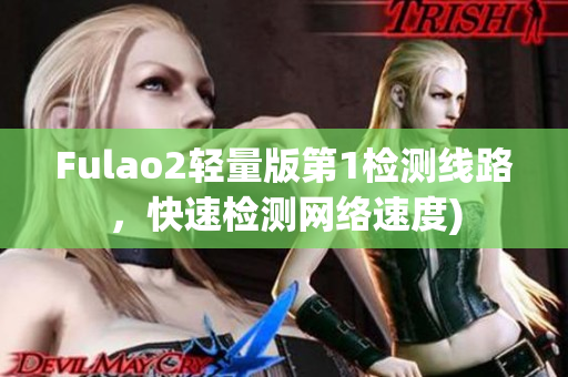 Fulao2轻量版第1检测线路，快速检测网络速度)