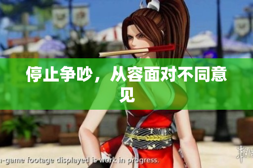 停止争吵，从容面对不同意见