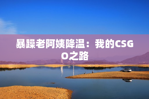 暴躁老阿姨降温：我的CSGO之路