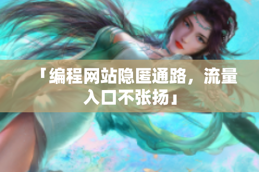 「编程网站隐匿通路，流量入口不张扬」