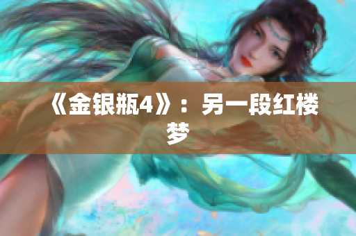 《金银瓶4》：另一段红楼梦