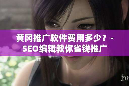 黄冈推广软件费用多少？-SEO编辑教你省钱推广