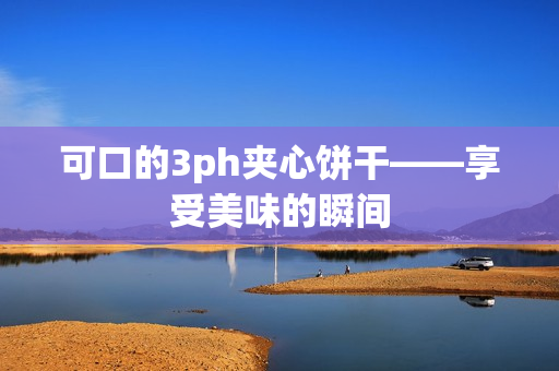 可口的3ph夹心饼干——享受美味的瞬间