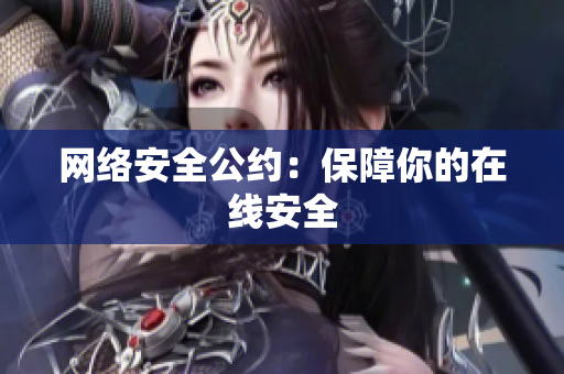 网络安全公约：保障你的在线安全