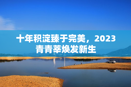 十年积淀臻于完美，2023青青莘焕发新生