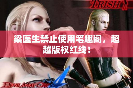 梁医生禁止使用笔趣阁，超越版权红线！