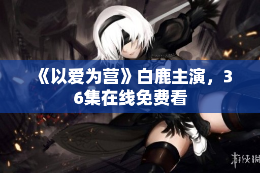 《以爱为营》白鹿主演，36集在线免费看