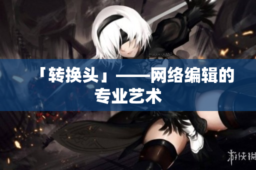 「转换头」——网络编辑的专业艺术