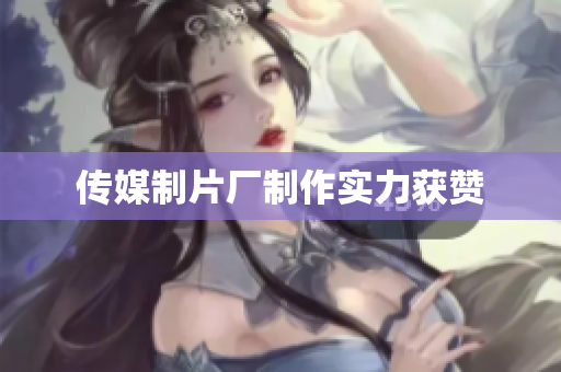 传媒制片厂制作实力获赞
