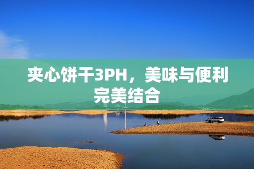 夹心饼干3PH，美味与便利完美结合