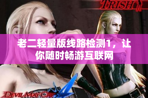 老二轻量版线路检测1，让你随时畅游互联网