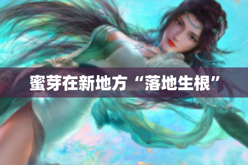蜜芽在新地方“落地生根”