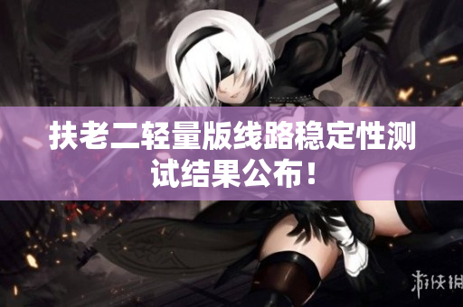扶老二轻量版线路稳定性测试结果公布！