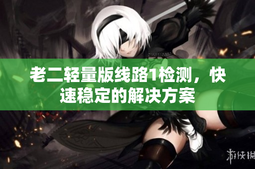 老二轻量版线路1检测，快速稳定的解决方案
