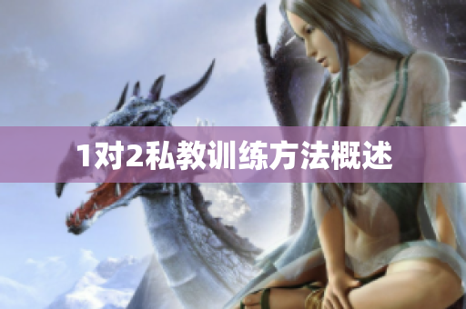 1对2私教训练方法概述