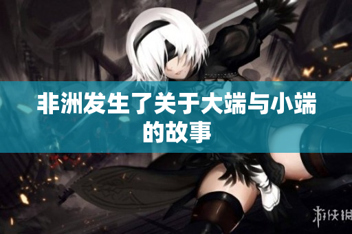 非洲发生了关于大端与小端的故事