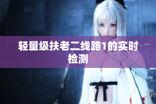 轻量级扶老二线路1的实时检测