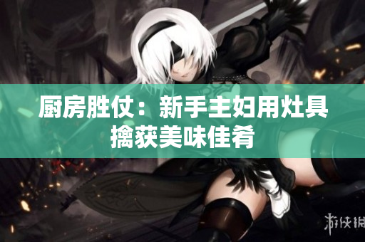 厨房胜仗：新手主妇用灶具擒获美味佳肴