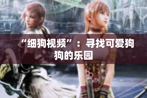 “细狗视频”：寻找可爱狗狗的乐园