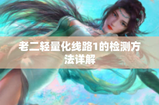 老二轻量化线路1的检测方法详解