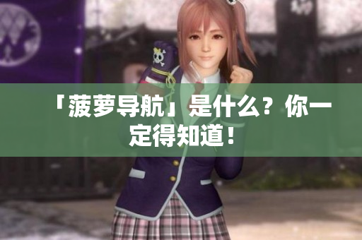 「菠萝导航」是什么？你一定得知道！
