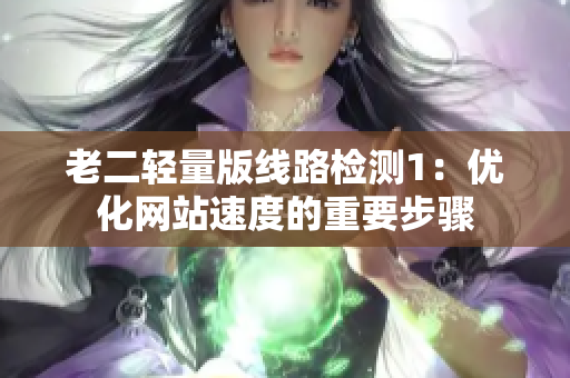 老二轻量版线路检测1：优化网站速度的重要步骤