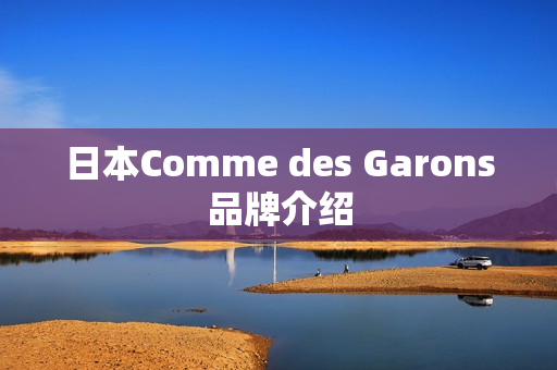 日本Comme des Garons品牌介绍