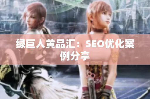 绿巨人黄品汇：SEO优化案例分享